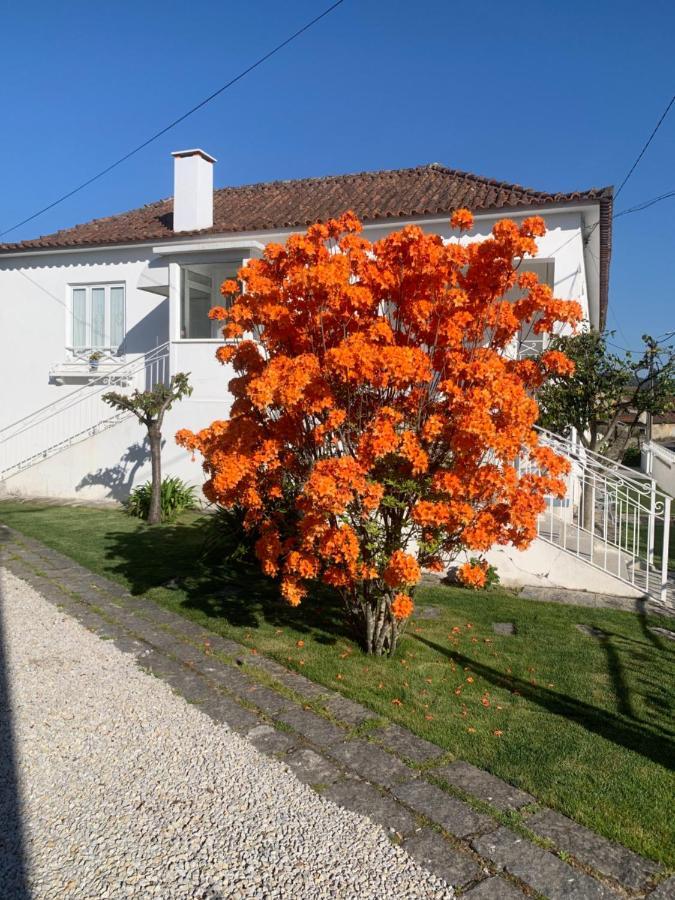 Casa Das Uveiras Пасуш-де-Феррейра Екстер'єр фото